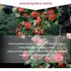 Mitomo Camellia Essence Mask - (1179)