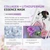 Mitomo Collagen & Lithospermum Facial Mask - (1163)