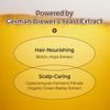 KUNDAL Beer Yeast Scalp Shampoo Herb Mint - �������� ���� ��� ����������� �� ����� ������ & ����� ��� ����� ������� - (KUN-34)