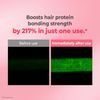 KUNDAL Protein Bonding Care Shampoo Violet Muguet - �������� ����������� �� ��������� ��� ������ & ������� ������ - (KUN-35)