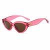Michael Kors Sunglasses Women (Lens/Bridge/Temple) 53/18/143 mm) - (MK2253UDRAGON)