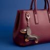 TFO Universal Chain Brown dachshund