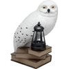 Paladone LunaGlo: Harry Potter - Hedwig Gnome Light (PP16200HP)
