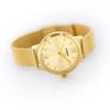 Casio WOMEN'S Watch + Box - (LTP-E157MG-9A)