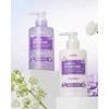 KUNDAL Honey & Macadamia Shampoo + Treatment Set - White Musk - ��� �������� & ��������� ��� ����� & ���������� - (KUN-43)
