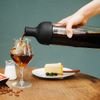 HARIO 750ml Cold Brew Bottle With Filter, Black - (4977642037441)