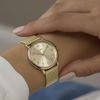 TIMEX WOMEN'S Watch + Box - (TW2Y68900)