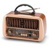 Forever Electro Fm Radio Carlo JB-105 Bt Usb 1200mAh