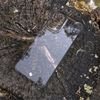 Spacecase Anti-Shock Motorola G35 5G - (5905719112950)