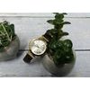 TIMEX WOMEN'S Watch + Box - (TW2W96400)