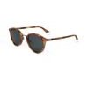 Polaroid Sunglasses SX7 (50/24/145) - (Pld 2091/S)