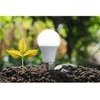 Xiaomi Smart Led Bulb White And Color - (BHR9434GL)