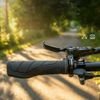 Rockbros G326PL Bicycle Grips - Black 5907769389917 - (71230020001)