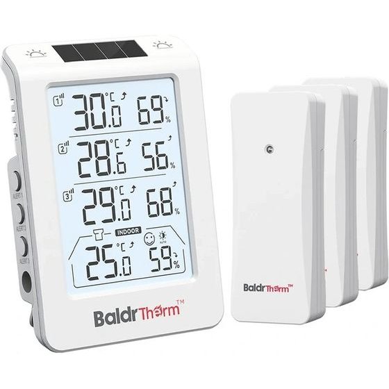 RainPoint Baldrtherm �������������� 3 �������� �� �������� ������� ������� - (B0598)