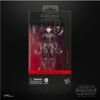 Hasbro Disney: Star Wars The Black Series - Rook Kast Figure (G2583)