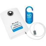 Blow OZ-02 Ozone Generator Mini Ozonator 1000 mg/h 15W - (67-301#)