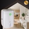 Ruhhy 26829 Air Dehumidifier - (18550-0)