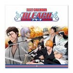 Erik ���������� ������ 16 ����� 2027 30X30�� BLEACH