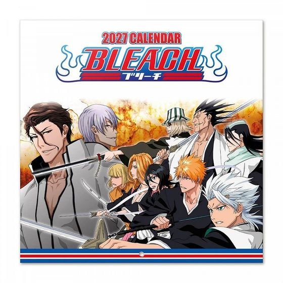 Erik ���������� ������ 16 ����� 2027 30X30�� BLEACH