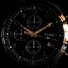 TIMEX MENS Watch + Box - (TW2Y01500)