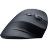 Powerton Ergo Shark Mouse wireless, black, 1600DPi - (WPM11E)
