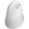 Powerton Ergo Spira Mouse wireless, White And gray, 3200DPi - (WPM12E)
