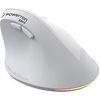 Powerton Ergo Spira Mouse wireless, White And gray, 3200DPi - (WPM12E)