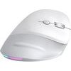 Powerton Ergo Spira Mouse wireless, White And gray, 3200DPi - (WPM12E)