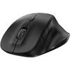 Genius Ergo 8230S Mouse wireless, black, 1600DPi - (31030050400)