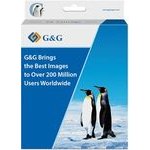 G&G compatible ink with LC-123BK, black, 600p - (NP-B-0123XLBK)