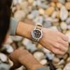 TIMEX MENS Watch - (TW2V62400)