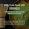 KUNDAL Matcha & Kale Clarifying Sea Salt Scalp Scrub Herb Mint - (KUN-49)