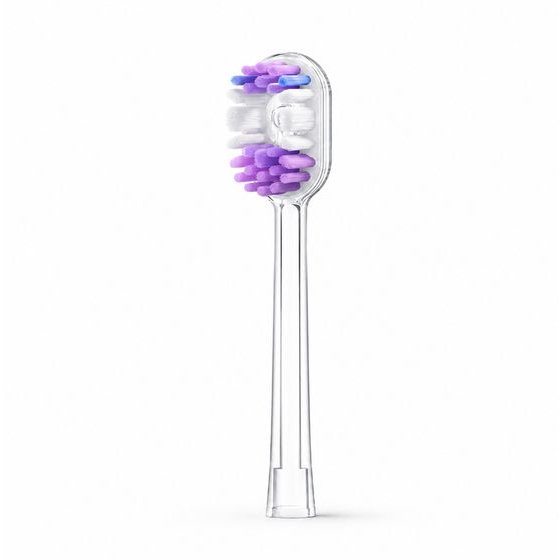 RANVOO PQ5 Toothbrush Head - Purple - (PQ5BHPURPLE)