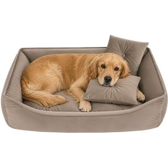 Purlov Bed For Dog/Cat 70x50cm - (19452-0)