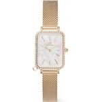 Daniel Wellington Watch Women (26MM) - (DW00100749)