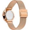 Daniel Wellington Watch Women (32MM) - (DW00100823)