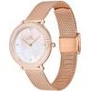 Daniel Wellington Watch Women (32MM) - (DW00100823)