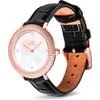 Daniel Wellington Watch Women (32MM) - (DW00100827)
