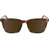 ZEISS Sunglasses Man (Lens/Bridge/Temple) 53/19/145 mm) - (ZS24545S-239)