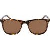 ZEISS Sunglasses Man (Lens/Bridge/Temple) 53/20/145 mm) - (ZS22509SP-242)