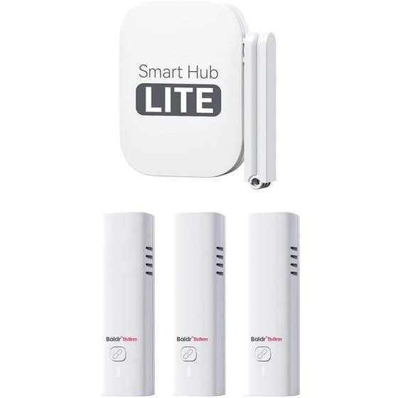 RainPoint �������������� Baldrtherm �� Wi-Fi (���������� + �������� ������) - (HCS802ARF)