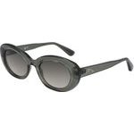 LONGCHAMP Sunglasses Women (Lens/Bridge/Temple) 50/21/140 mm) - (LO756S-300)