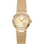 DKNY DK1L024M0025