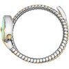 Just Cavalli JC1L350M0065 - (Signature Snake Radiosa)