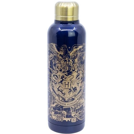 Stor: Harry Potter - Magic & Mayhem Insulated Stainless Steel Bottle (515ml) (31009)