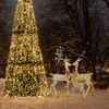 Aca Led ���������� �������� 3D ������������ ������� 340LEd ����� ����� IP65 1520x860mm 1370x790mm 910x610mm - (XREINDEERFAM)