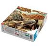 Cenega Publishing Puzzle Good Loot Imagination - Ernst Haeckel: Sea Turtles 1000 pc(s) - (5908305251750)