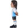 MINIX Wc Legends Argentina - Hernan Crespo - (24841)