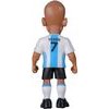 MINIX Wc Legends Argentina - Juan Sebastian Veron - (24865)