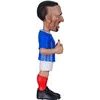 MINIX Wc Legends France - Franck Riberry - (24926)